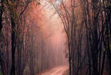 英超|曼城不敵維拉走勢如護級球隊 基亞利殊逾365日零球會入球.