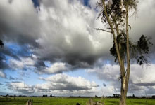 B体育:科爾:我們已展現防守實力 現在期待施羅德在進攻中發力.